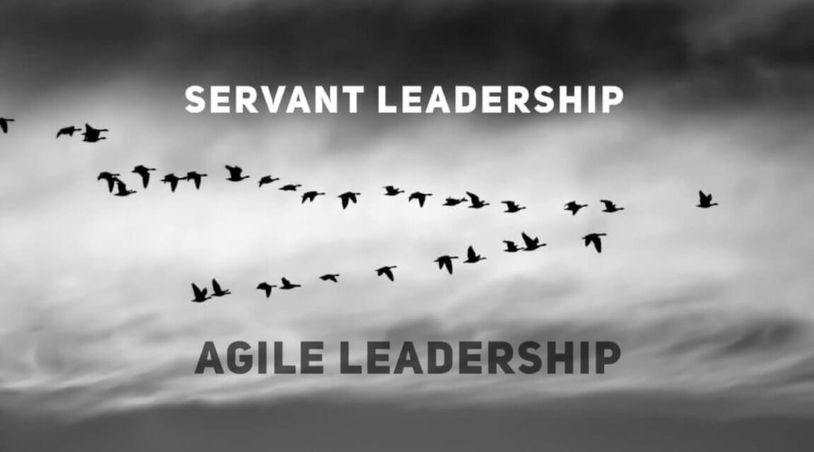 How to Lead a Customer-Centric Organization