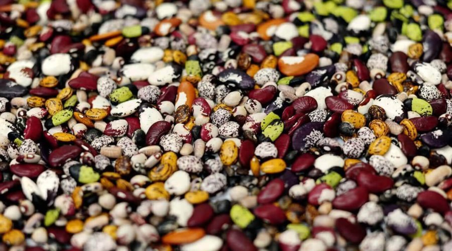 Why hiring the ‘best’ people produces the least creative results