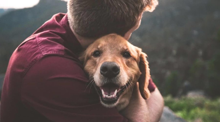 How having pets as a child taught executives valuable lessons