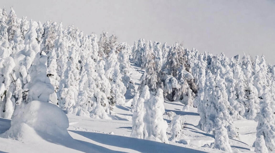 Insights That Will Make You Think and Grow — January Summary