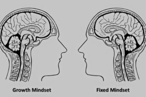 Two heads facing each other — Fixed mindset v growth mindset