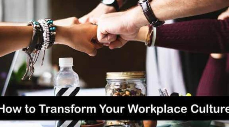 How to transform your workplace culture