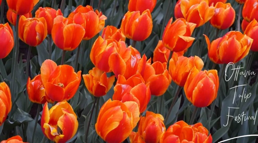 April Summary — Insights That Will Make You Think and Grow