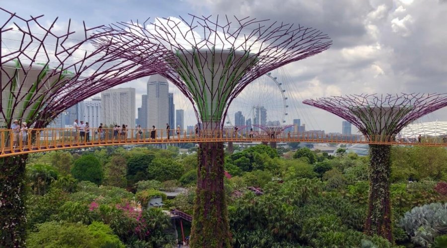 How To Be A Responsible AI-Driven Organization