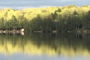 May Summary — Insights That Will Make You Think and Grow