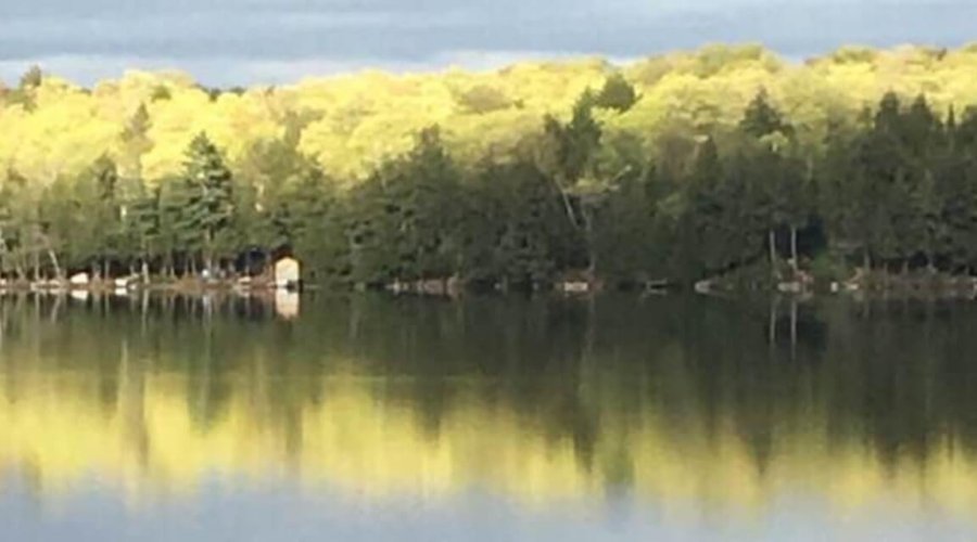 May Summary — Insights That Will Make You Think and Grow