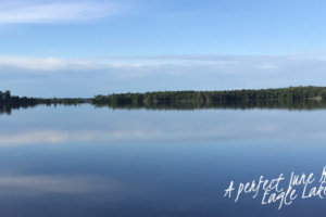 June Summary — Insights That Will Make You Think and Grow