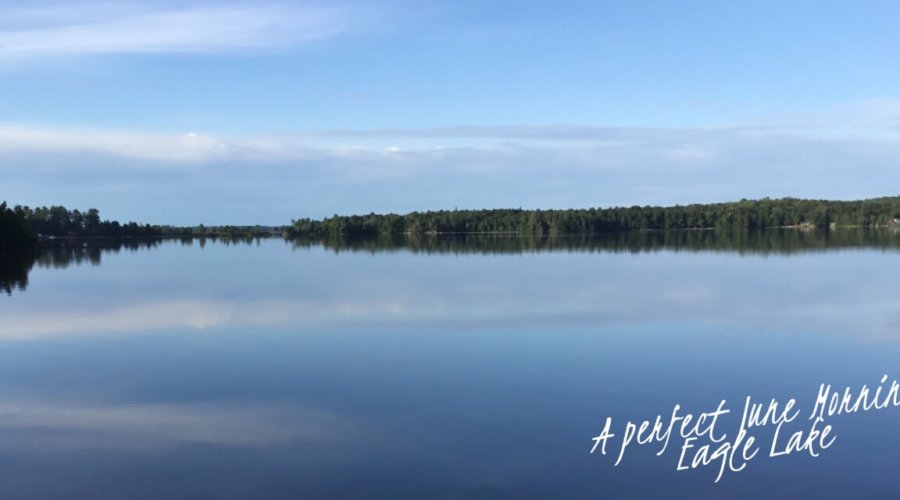 June Summary — Insights That Will Make You Think and Grow